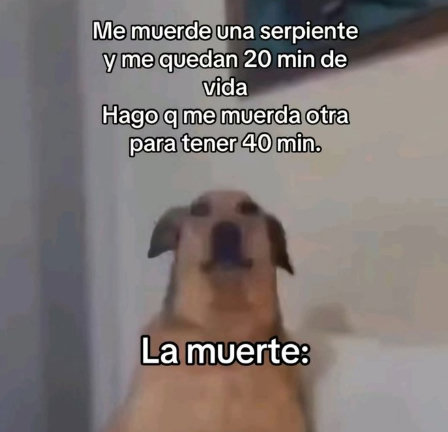 Solo para entendidos...
#comedia #humor #entretenimiento